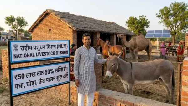 सरकार दे रही है गधा पालन पर ₹50 लाख — NLM Subsidy Scheme 2026