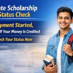 state scholarship status check 2026 payment started check if scholarship money credited odisha student login portal status check